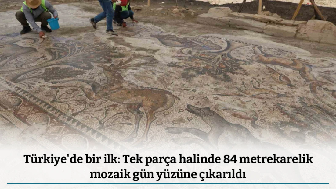 Türkiye'de bir ilk: Tek parça halinde 84 metrekarelik mozaik gün yüzüne çıkarıldı