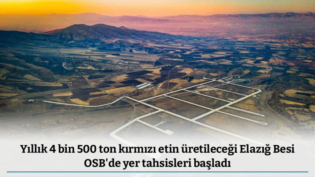 Yıllık 4 bin 500 ton kırmızı etin üretileceği Elazığ Besi OSB'de yer tahsisleri başladı