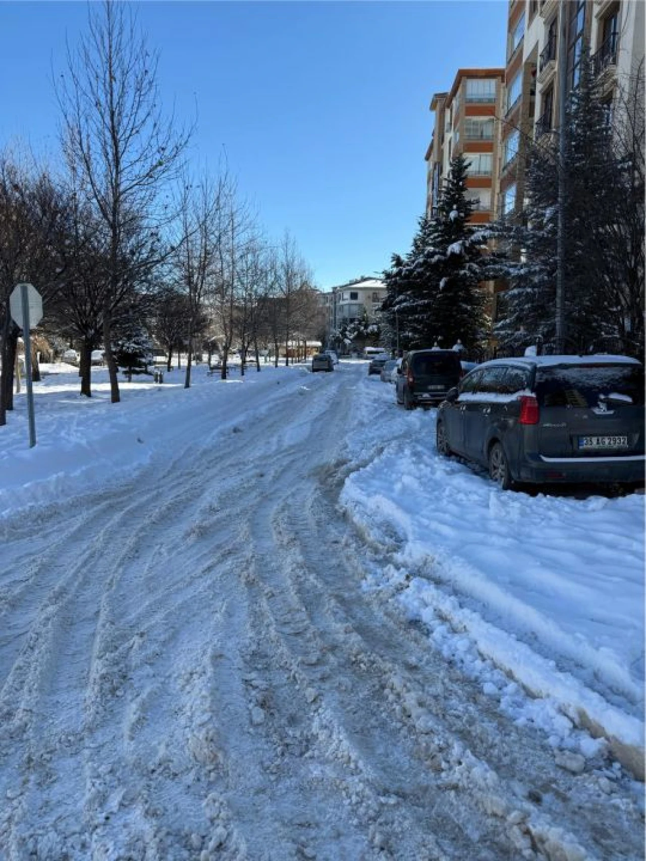 Söyleyene Bakın Hele