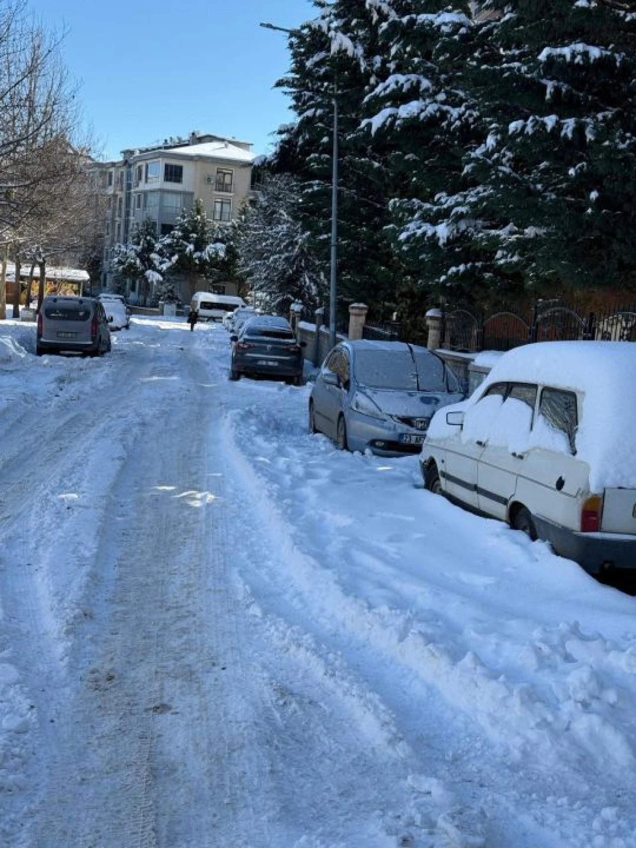 Söyleyene Bakın Hele