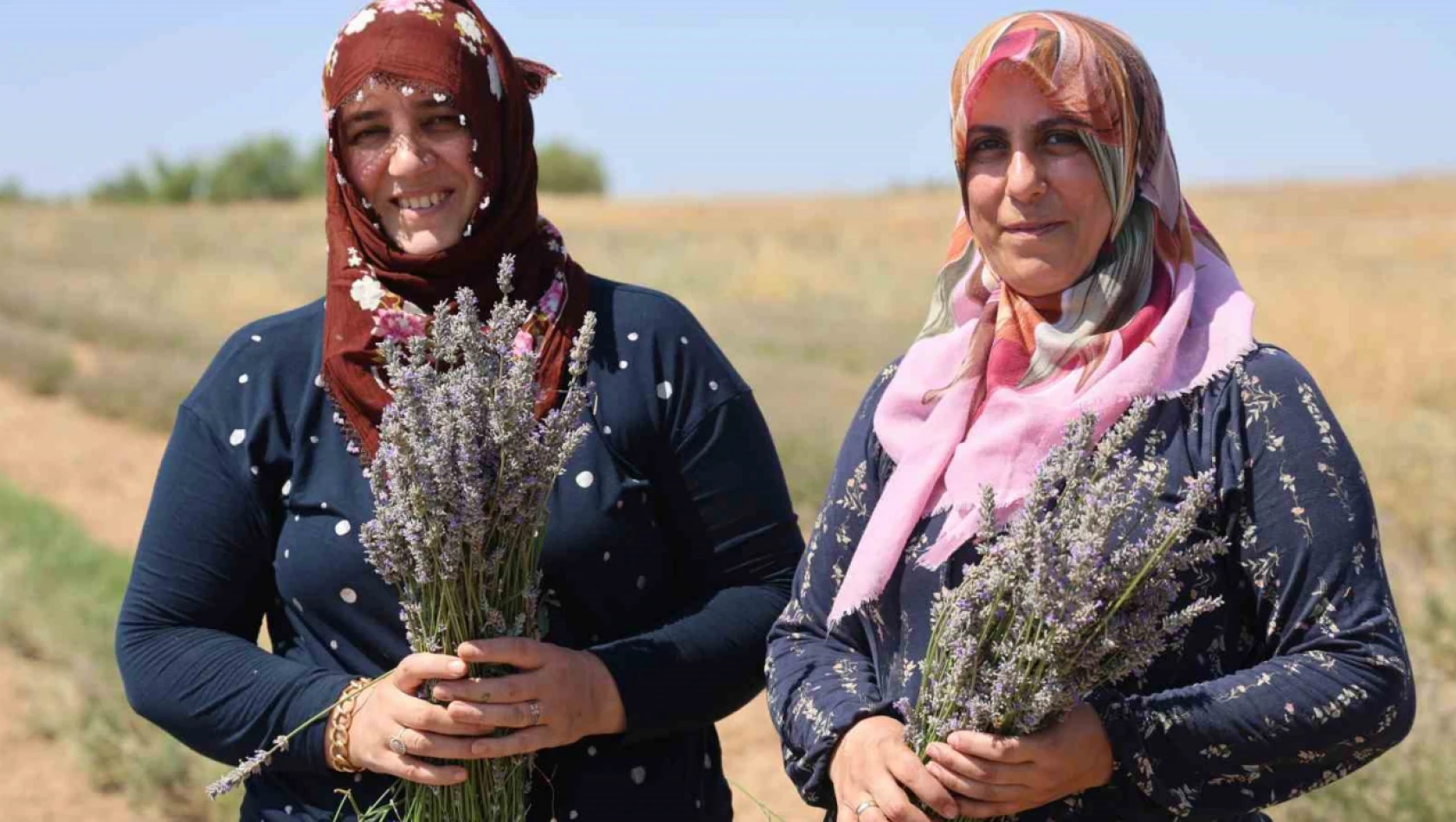 Gelin-görümce sırt sırta verdi, lavanta bahçesi kurdu