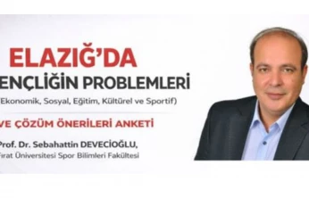 Elazığ'da Gençliğin Problemleri ve Çözüm Önerileri: Anket