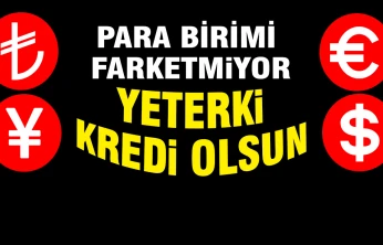 İyice Kredi Bağımlısı oldular.