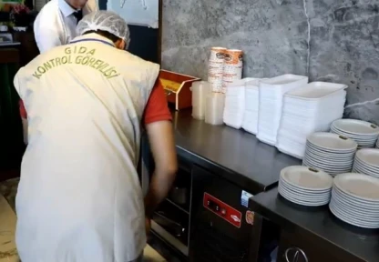 Elazığ'da gıda denetimi