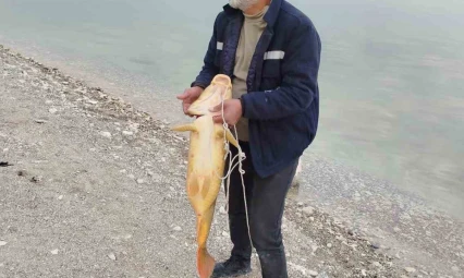 21 kiloluk sazan yakaladı, mutluluğu tebessüm ettirdi