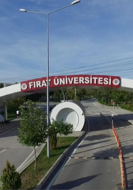 Gelin,hayallerinize birlikte yürüyelim