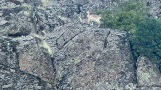 'Tırmanış ustaları' kendilerine hayran bırakmaya devam ediyor