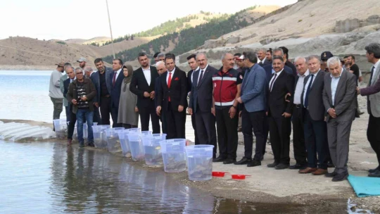 13 ilde 25 milyon yavru sazan suya bırakıldı