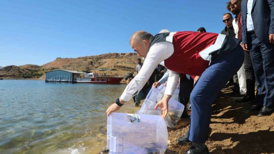 15 ilde 25 milyon yavru sazan suya bırakıldı