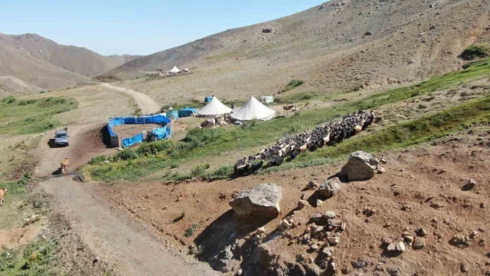 2 bin 500 rakımda ekmek mücadelesi