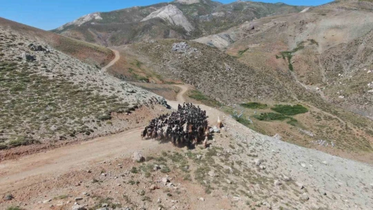 2 bin 500 rakımda ekmek mücadelesi