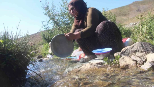 2 bin 500 rakımda ekmek mücadelesi