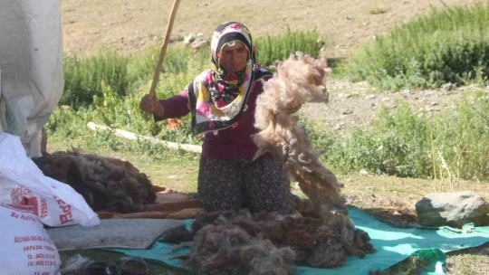 2 bin 500 rakımda ekmek mücadelesi