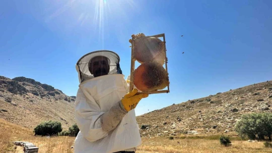 2000 rakımda tescilli geven balının hasadı başladı