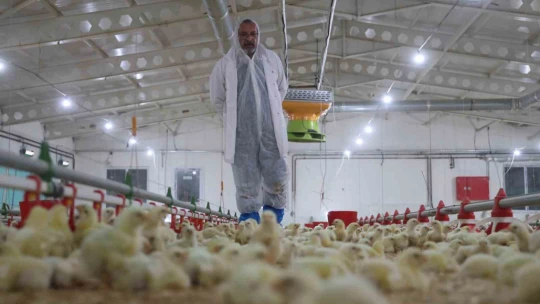 25 yıl basın sektörüne hizmet etti, devletten aldığı destek ile çiftlik kurdu