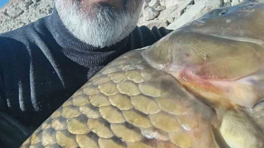 Amatör balıkçı 20 kiloluk sazan yakaladı