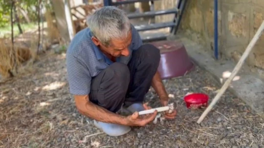 Annesiz kalan yavru kedileri şırınga ile besliyor