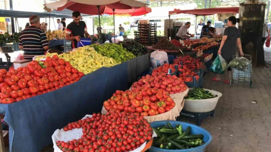 Aracılara isyan eden tarla sahibi halka seslendi, 'Gelin tarladan 4 liraya alın'