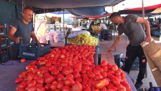 Aracılara isyan eden tarla sahibi halka seslendi, 'Gelin tarladan 4 liraya alın'