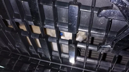 Aracının kaputuna sıkışan kediyi sahiplendi