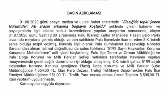 Atı aracın arkasına bağlayıp koşturan şahsa ceza