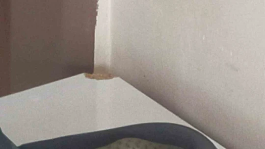 Ayakkabılıktaki terlikten yılan çıktı