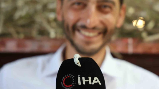 Babaannesinden esinlendi, Elazığ tarihinin en büyük ipek böcekçiliği çiftliğini kurdu