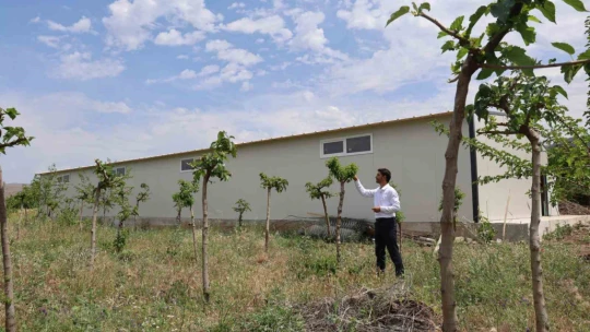 Babaannesinden esinlendi, Elazığ tarihinin en büyük ipek böcekçiliği çiftliğini kurdu