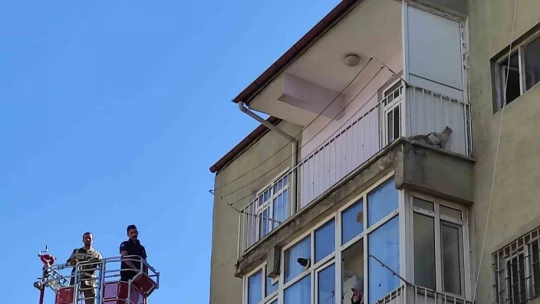 Balkonda mahsur kalan kediyi HAYDİ ve itfaiye ekipleri kurtardı