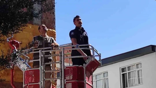 Balkonda mahsur kalan kediyi HAYDİ ve itfaiye ekipleri kurtardı