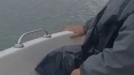 Baraj'da yüzen ayı balıkçılar tarafından görüntülendi