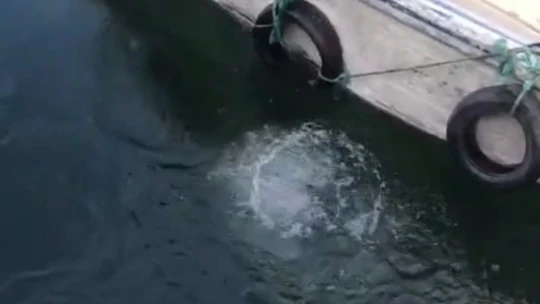 Baraj gölüne düşen telefonu için dalgıç tuttu