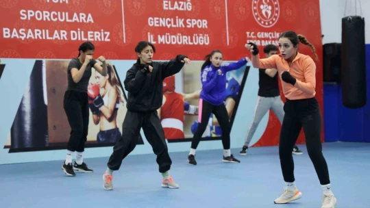 Boksta babasının desteğiyle başarıdan başarıya koşuyor