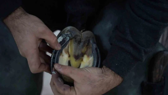 Bu kursu tamamlayanlar iş sahibi olabilecek