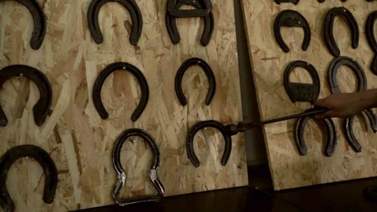 Bu kursu tamamlayanlar iş sahibi olabilecek