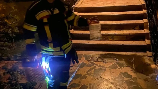 Cam korkuluktaki yılan paniğe neden oldu