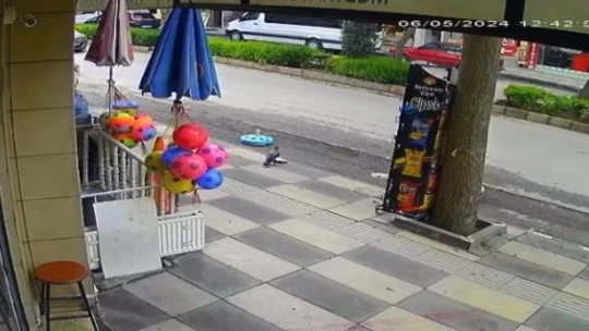 Cips çalmaya çalışan karga dükkan sahibine yakalanınca kaçtı