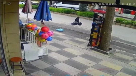 Cips çalmaya çalışan karga dükkan sahibine yakalanınca kaçtı