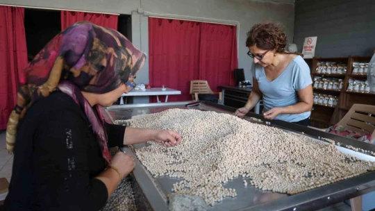 Depremden kurtulan 2 çocuk annesi, devraldığı tesiste tonlarca leblebi üretiyor
