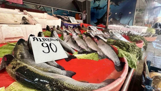 Dinozorlar döneminden günümüze gelen bu balığın havyarı 2 milyon lira