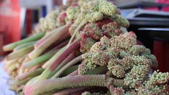 Doğu'nun muzu 'ışkın' tezgahlarda yerini aldı