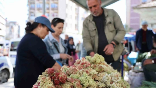 Doğu'nun muzu 'ışkın' tezgahlarda yerini aldı