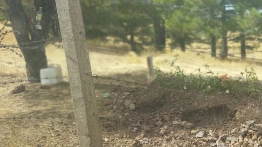 Domuzların talanı bitmedi: Bu defa mezarlıklara dadandılar