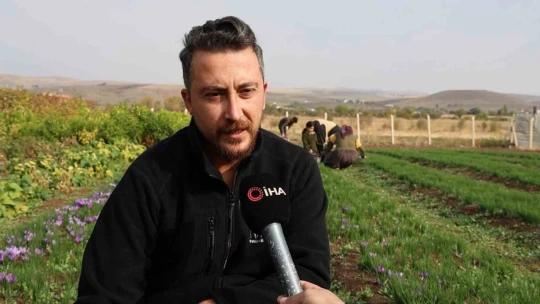 Dünyanın en pahalı baharatını ekti, kilosunu 200 bin liradan satıyor