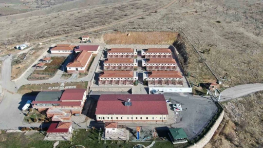 Elazığ Belediyesi'nin yeni hizmetiyle artık hayvan sahiplenmek daha kolay