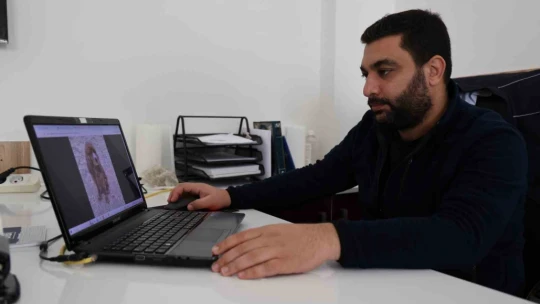 Elazığ Belediyesi'nin yeni hizmetiyle artık hayvan sahiplenmek daha kolay