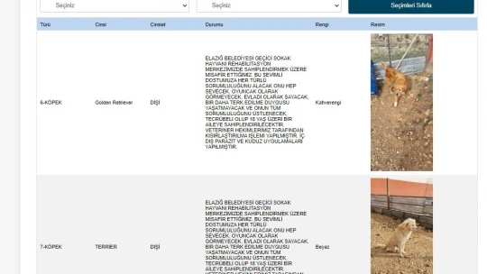 Elazığ Belediyesi'nin yeni hizmetiyle artık hayvan sahiplenmek daha kolay