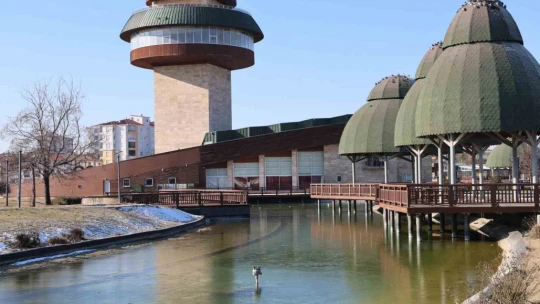 Elazığ buz kesti, süs havuzları dondu