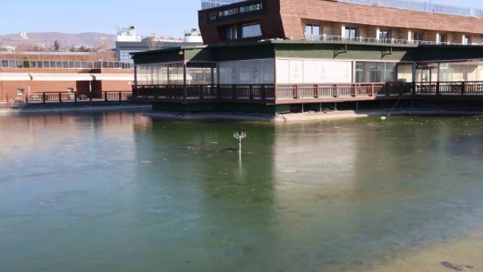 Elazığ buz kesti, süs havuzları dondu