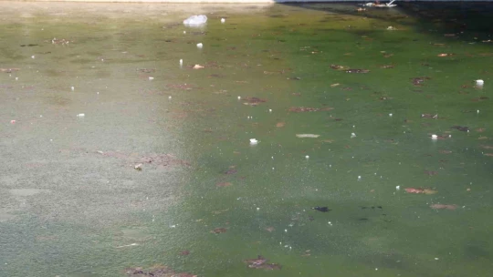 Elazığ buz kesti, süs havuzları dondu